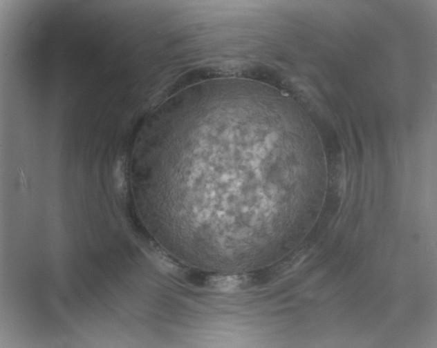 X0000075890131200609291716