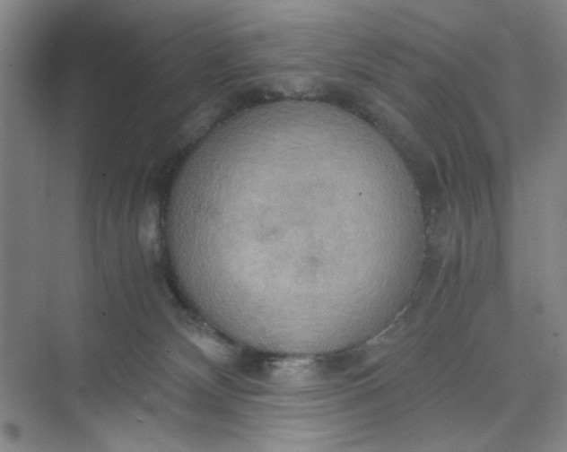 X0000075890132200609291716