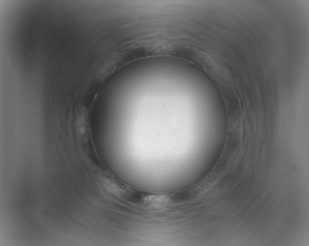 X0000075890133200609291716