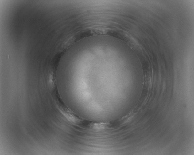 X0000075890134200609291716