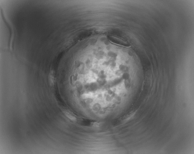 X0000075890135200609291716