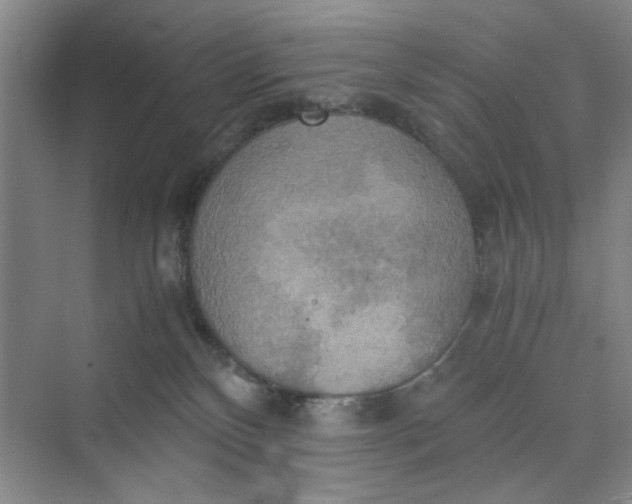 X0000075890136200609291716