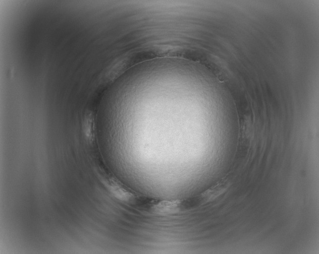 X0000075890138200609291715