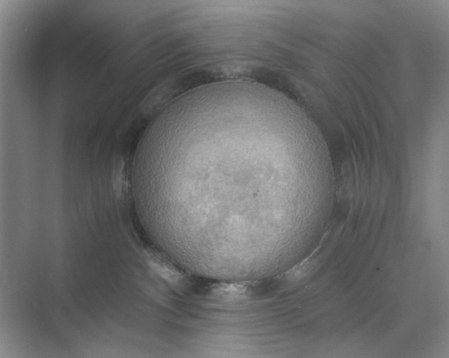 X0000075890140200609291715