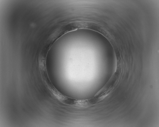 X0000075890141200609291715