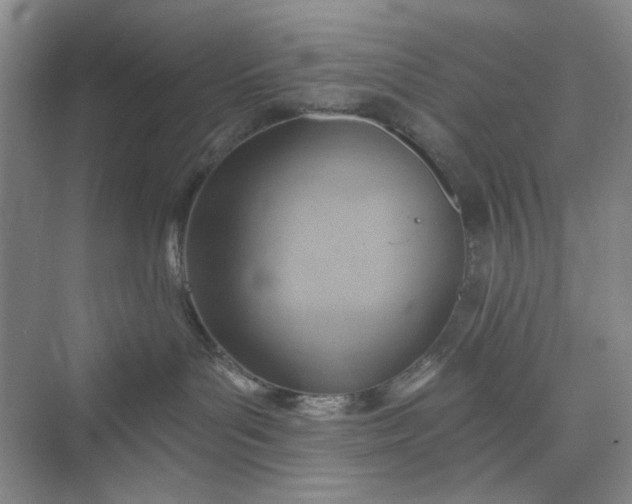 X0000075890143200609291715