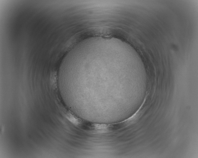 X0000075890144200609291715