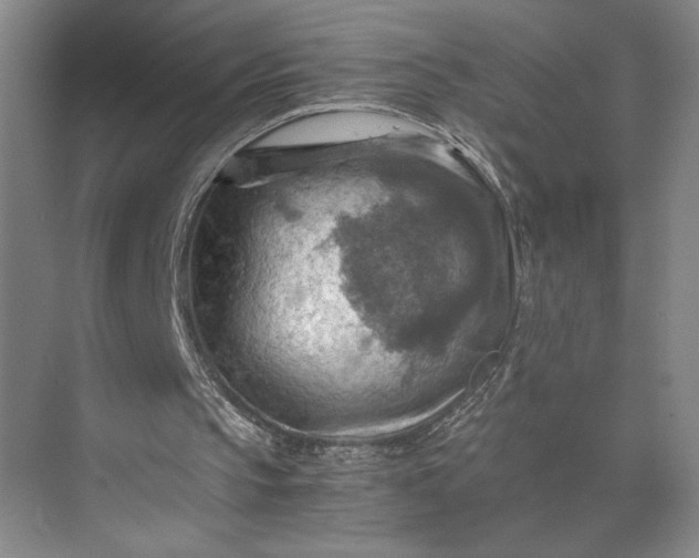 X0000075890145200609291715