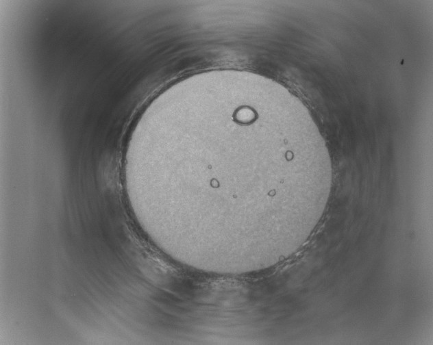 X0000075890146200609291715