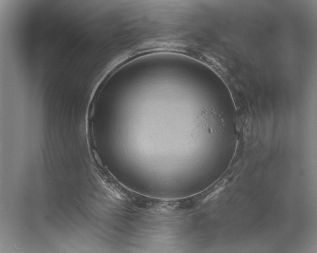 X0000075890148200609291715