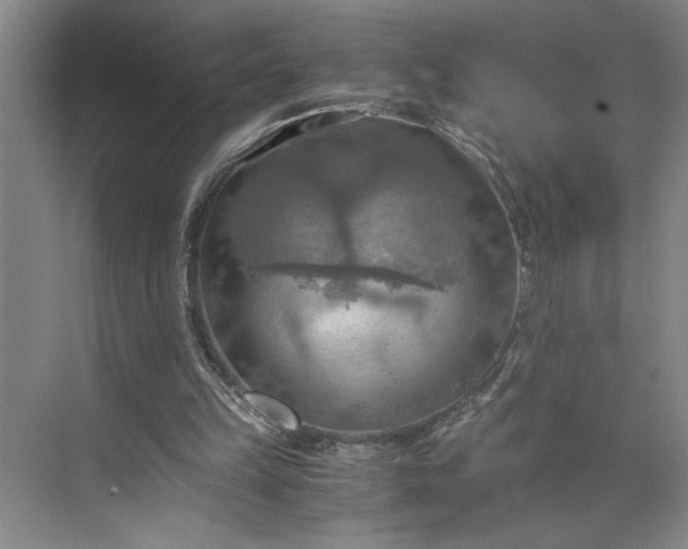 X0000075890149200609291715