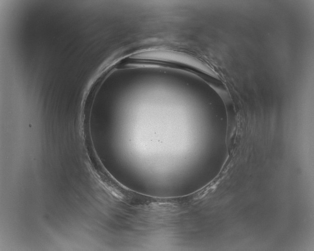 X0000075890150200609291715