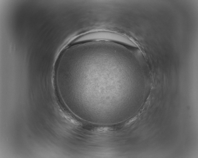 X0000075890152200609291715