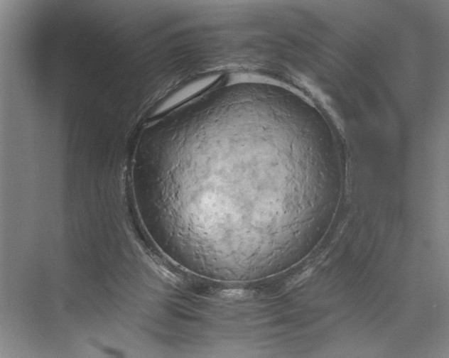 X0000075890153200609291715