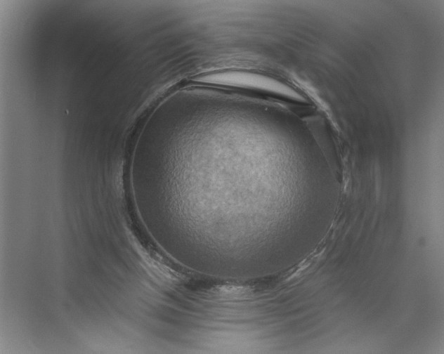 X0000075890154200609291715