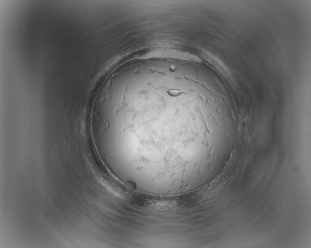 X0000075890155200609291715