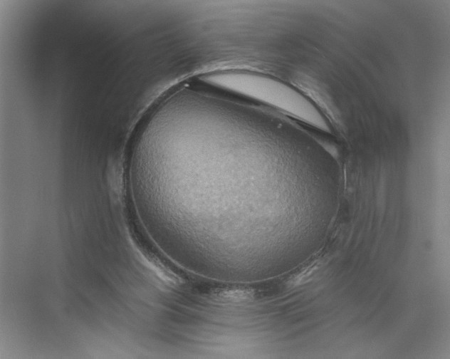 X0000075890156200609291715