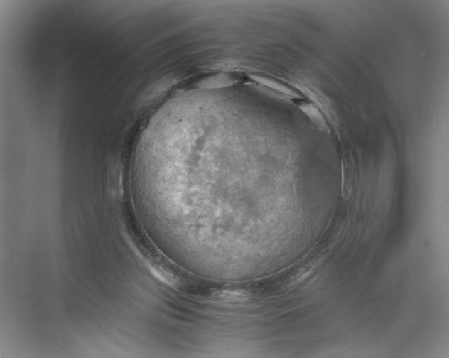 X0000075890157200609291715