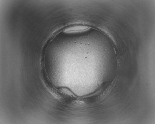 X0000075890159200609291715