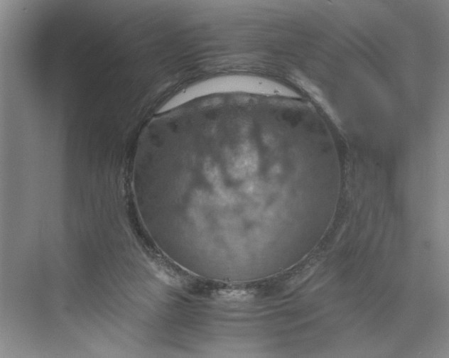 X0000075890161200609291715