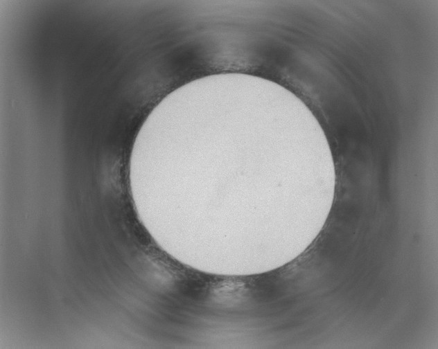 X0000075890162200609291715