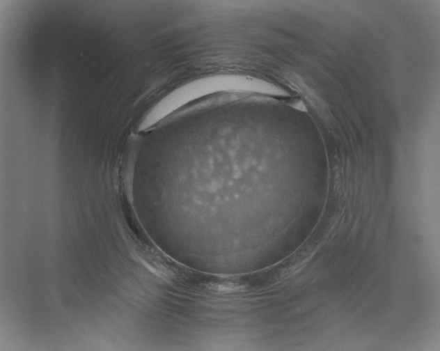 X0000075890165200609291715