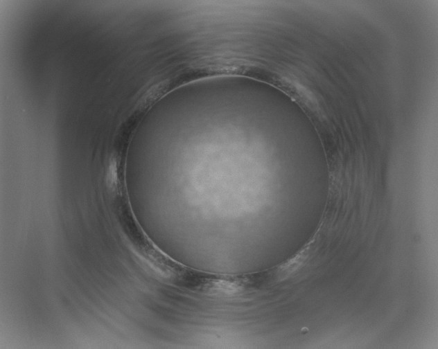 X0000075890166200609291715