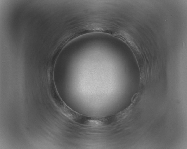 X0000075890167200609291715