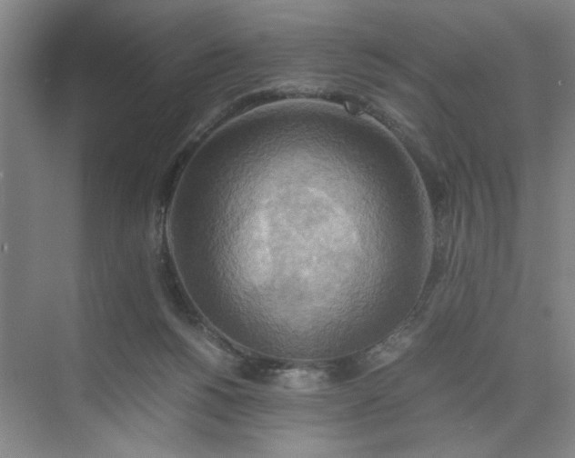 X0000075890168200609291715