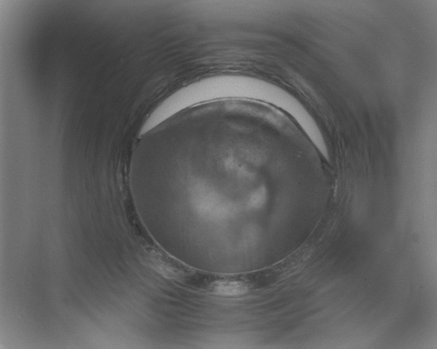 X0000075890169200609291715