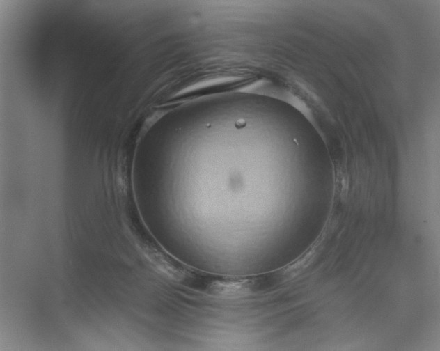 X0000075890170200609291715