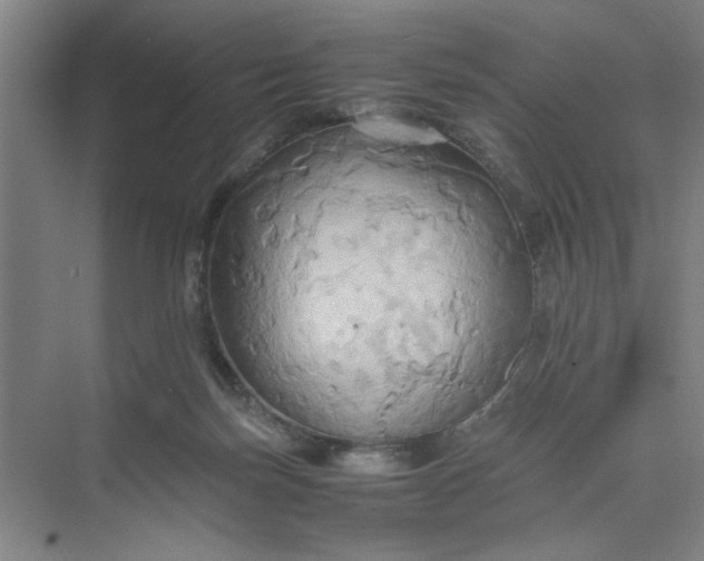 X0000075890171200609291715