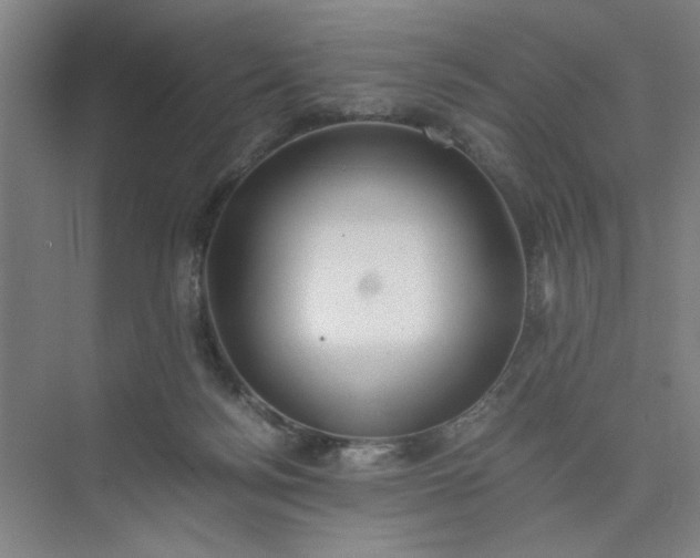 X0000075890172200609291715