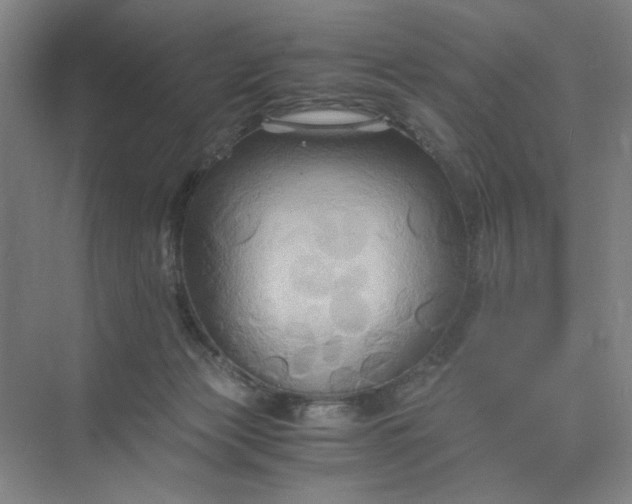 X0000075890173200609291715