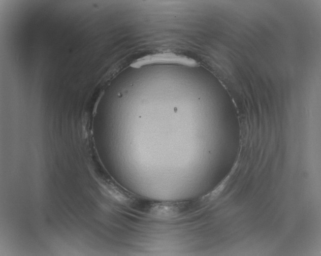 X0000075890174200609291715