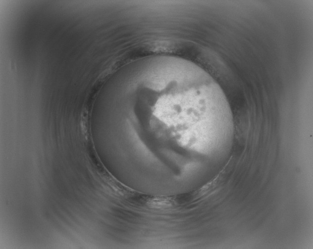 X0000075890175200609291715