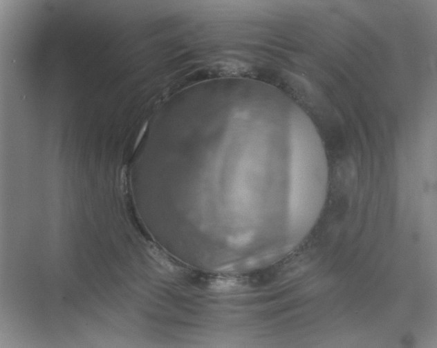 X0000075890177200609291715