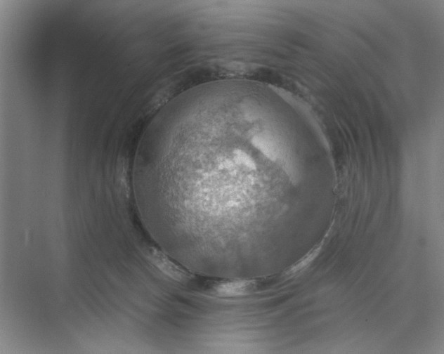 X0000075890178200609291715