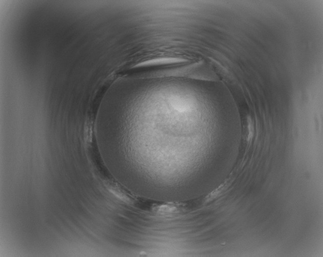 X0000075890180200609291715