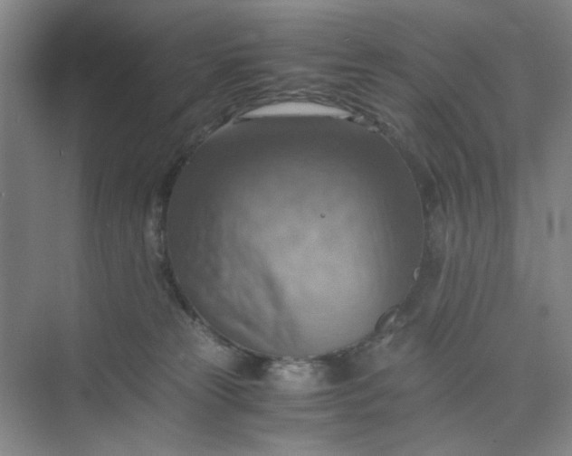 X0000075890181200609291715