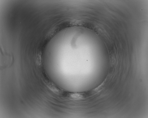 X0000075890183200609291715