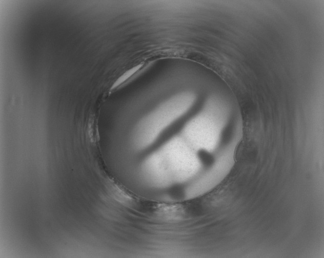 X0000075890185200609291715