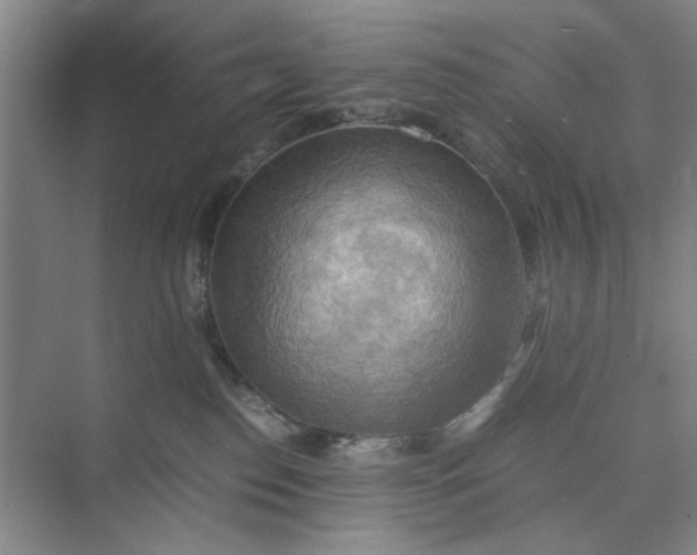 X0000075890186200609291715