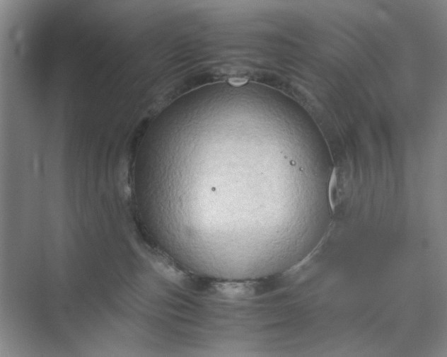 X0000075890187200609291715