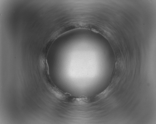 X0000075890188200609291715