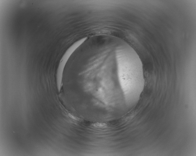 X0000075890189200609291715