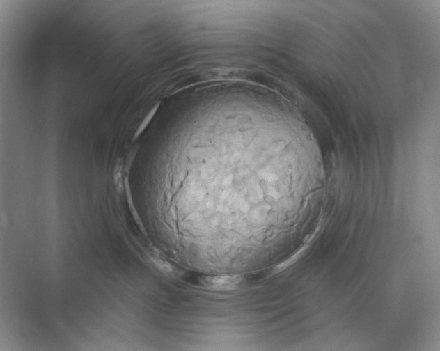 X0000075890191200609291715