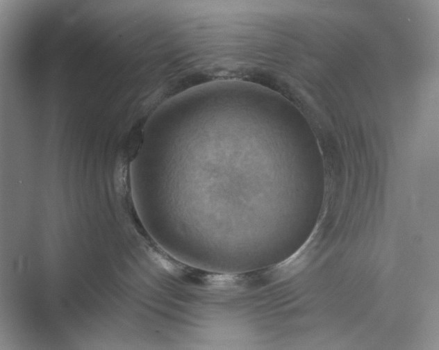 X0000075890192200609291715