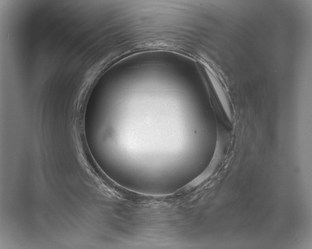 X0000075890193200609291715