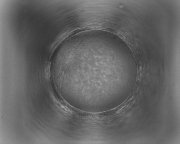 X0000075890194200609291715